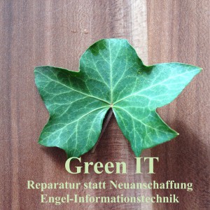 Green-IT, power supply exchange by Engel-Informationstechnik